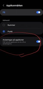Screenshot_20240125_201221_Settings.jpg