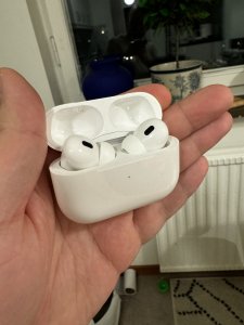 IMG_0034.jpeg