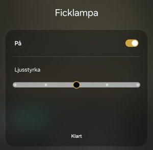 Screenshot_20240131_171657_One UI Home.jpg
