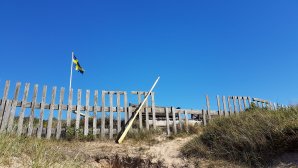 20160722_162449.jpg
