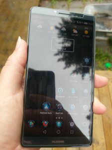 IMAG0147.jpg
