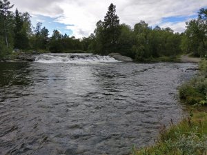 IMG_20160820_155528.jpg