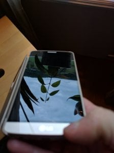 2016-08-24 18.57.37.jpg