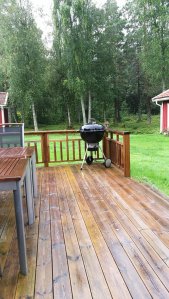 IMG_20160829_100208.jpg