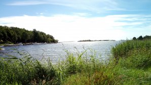 IMG_20160731_123845.jpg