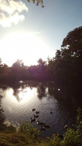 IMG_20160901_184421.jpg