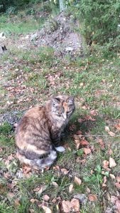 IMG_20160904_111955.jpg