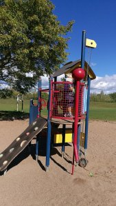 IMG_20160904_132606.jpg