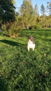 IMG_20160904_184734.jpg