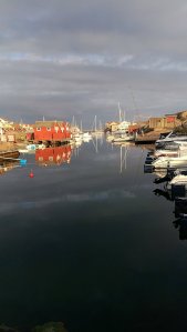 IMG_20160908_184609.jpg