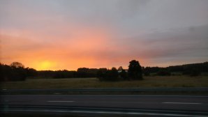 IMG_20160909_060343760.jpg