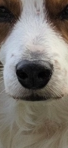 IMG_2439.png