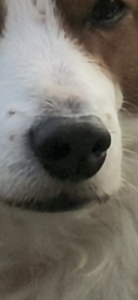 IMG_2441.png