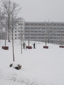 20240213_110449.JPG