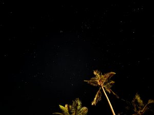 IMG_20240213_202801.jpg