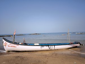 IMG_20240217_111446.jpg