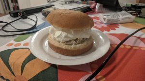 IMG_20240217_194620.jpg