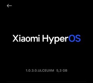 Screenshot_2024-02-25-21-58-46-591_com.android.updater-edit.jpg