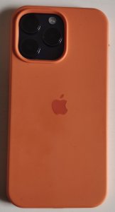 IMG_20240227_092621.jpg