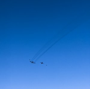 IMG_3551.jpg