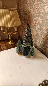 IMG_20240308_093035.jpg