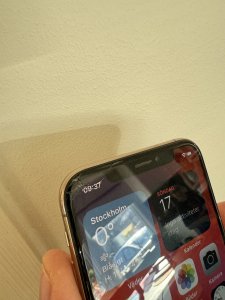 IMG_0393.jpeg