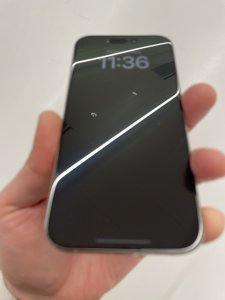 IMG_0354.jpeg