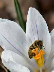 IMG_20240330_125705.jpg