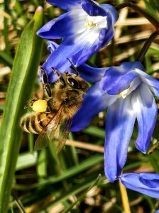 IMG_20240331_081141.jpg