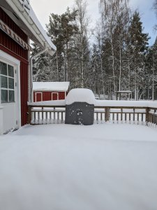PXL_20240403_071059007.jpg