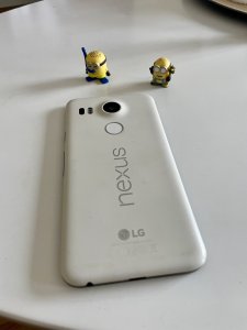 IMG_1761.jpeg