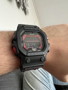 IMG_2977.jpeg