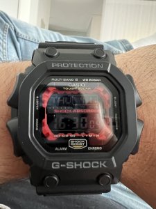 IMG_2980.jpeg