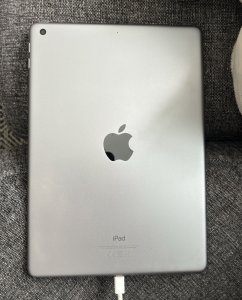 IMG_1123.jpeg