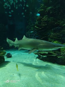 P_20240420_174104.jpg