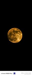 IMG_20240422_204524.jpg