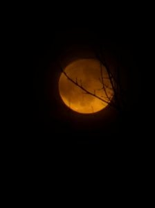 IMG_20240424_225913.jpg