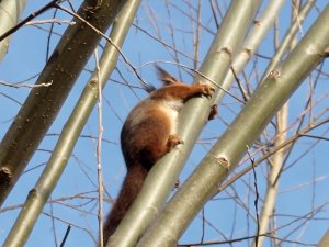 P_20240327_093935.jpg