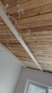 IMG_20240404_113155.jpg