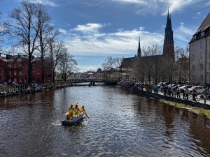 IMG_4665.jpeg