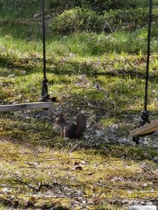 IMG_20240503_120222.jpg