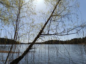 IMG_20240504_132501.jpg