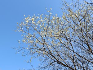 IMG_20240504_131826.jpg