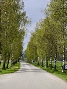 IMG_20240505_134454.jpg
