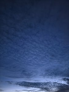 IMG_20240510_225648.jpg