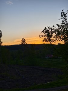 IMG_20240518_050528.jpg