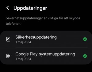 Screenshot_20240521_184545_Settings.jpg