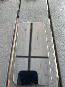 IMG_2740.jpeg