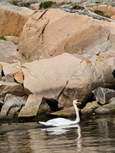 IMG_20240525_133051.jpg