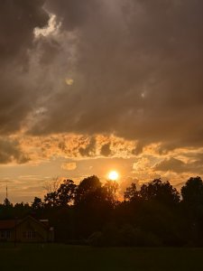 IMG_20240526_210011.jpg